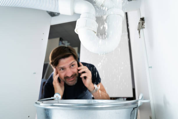 Best Local Plumber Services  in Sangaree, SC